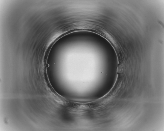 X0000096200787200801251012