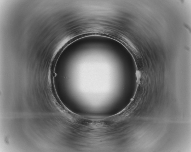 X0000096200788200801251012