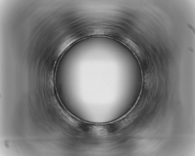 X0000096200794200801251011