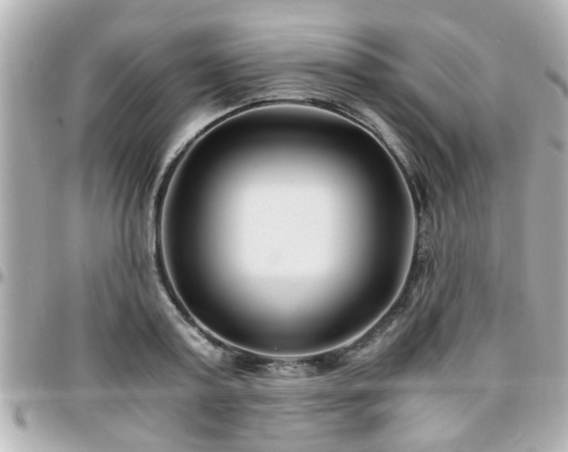 X0000096200795200801251011