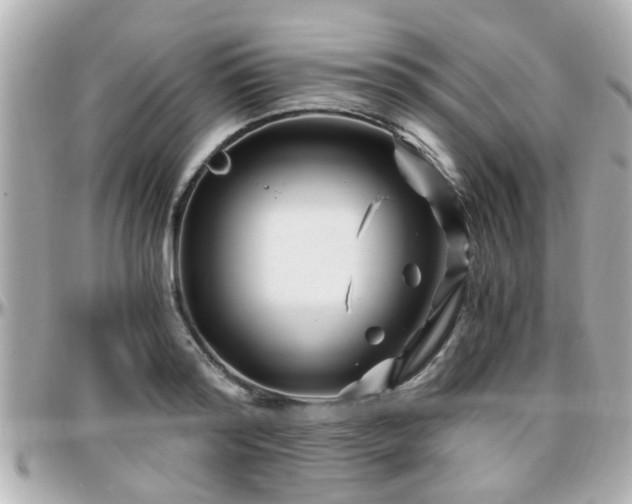 X0000096200796200801251011