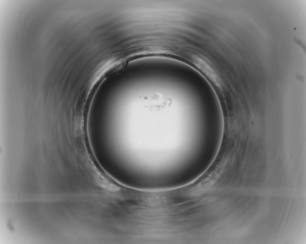 X0000096200797200801251011