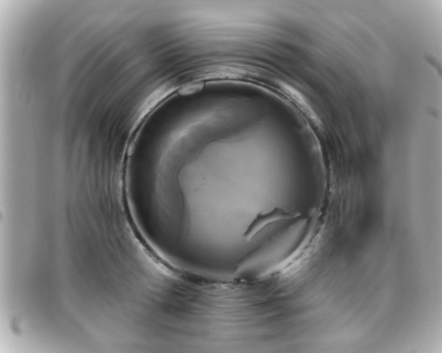 X0000096200802200801251011