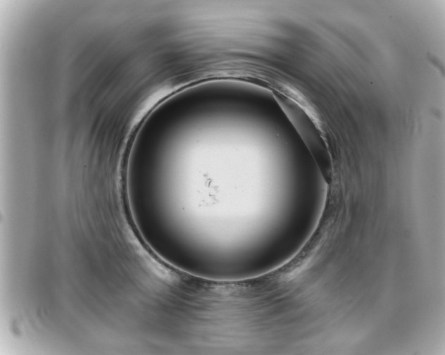 X0000096200803200801251011