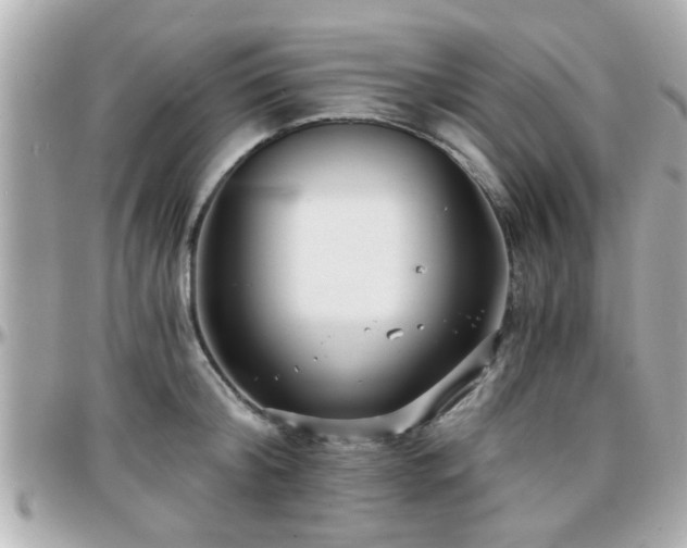 X0000096200804200801251011
