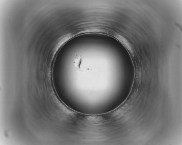 X0000096200805200801251011