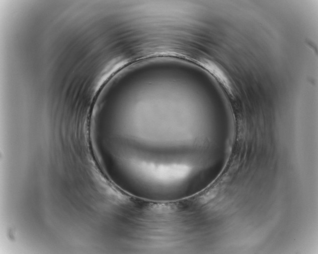X0000096200806200801251011