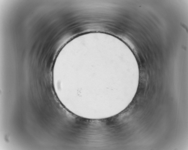 X0000096200807200801251011