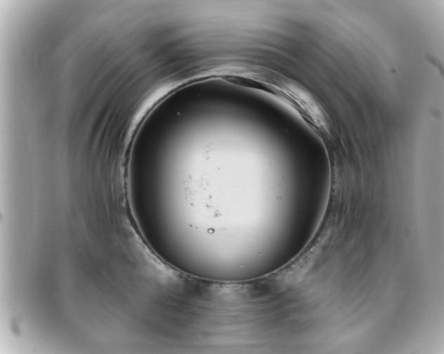 X0000096200808200801251011