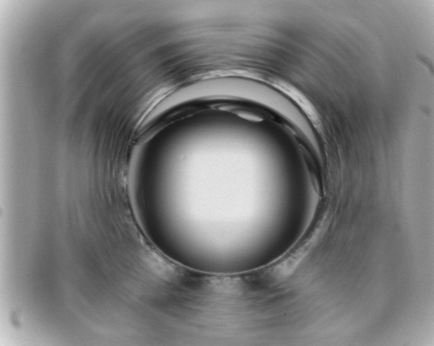 X0000096200809200801251011