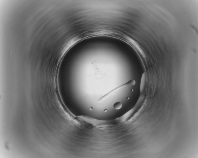 X0000096200810200801251011