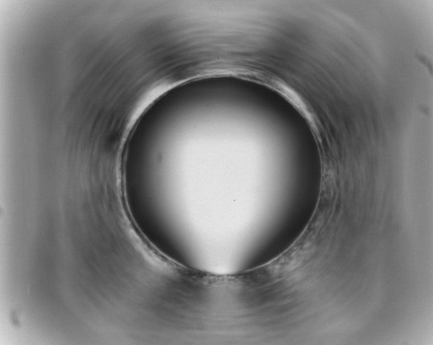 X0000096200811200801251011