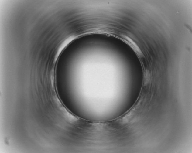X0000096200812200801251011