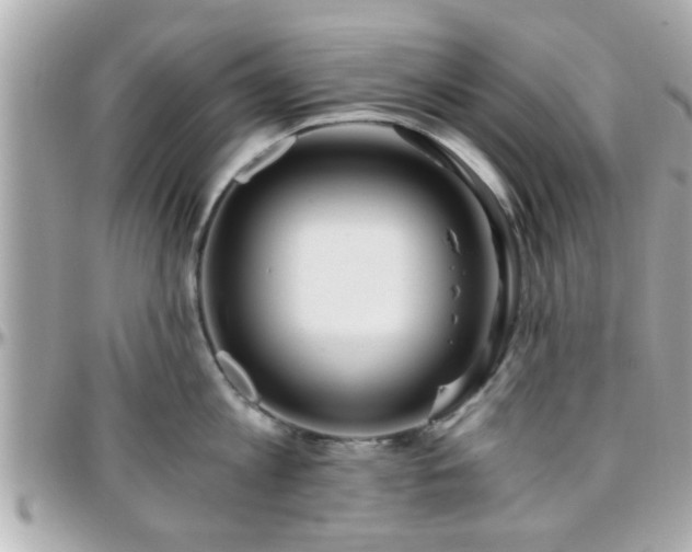 X0000096200813200801251011