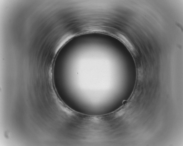 X0000096200814200801251011