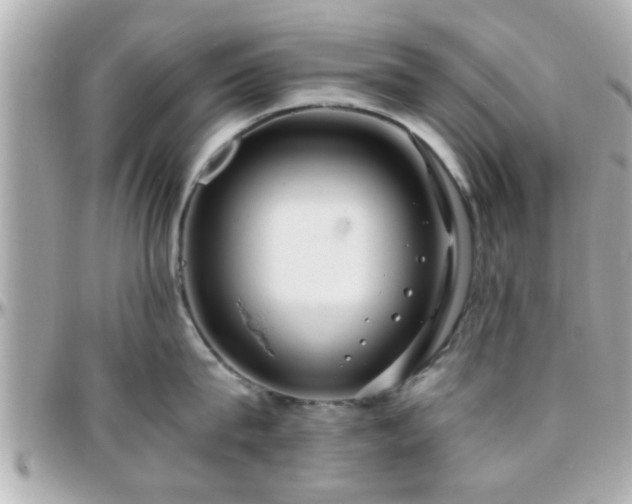 X0000096200815200801251011