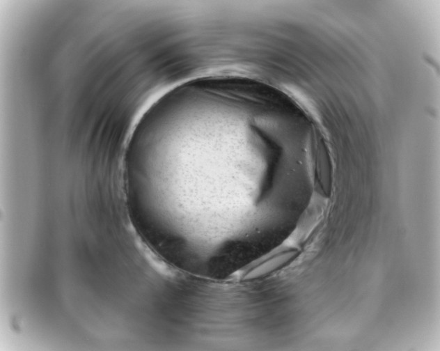 X0000096200816200801251011