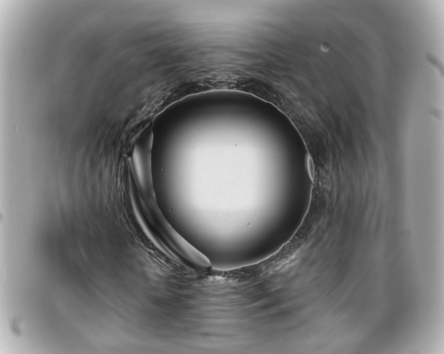 X0000096200818200801251010