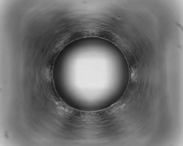X0000096200819200801251010