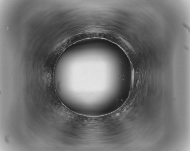 X0000096200821200801251011