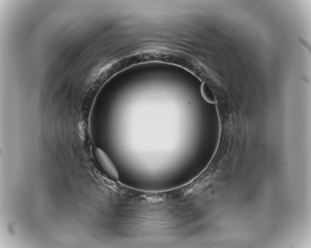 X0000096200822200801251011