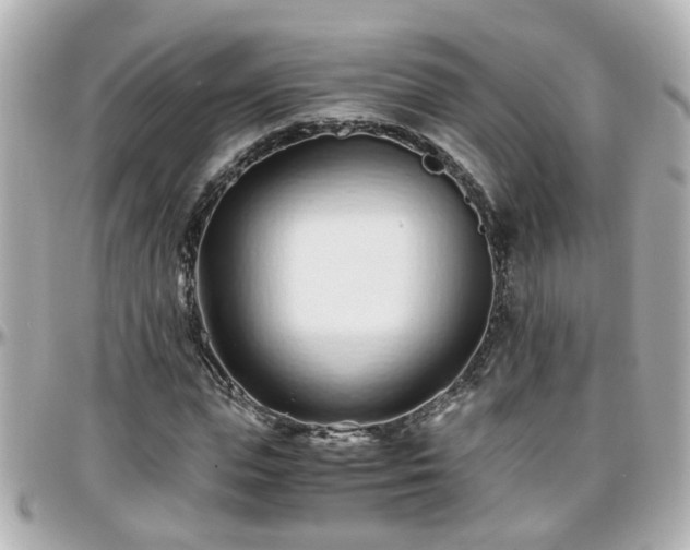 X0000096200823200801251011