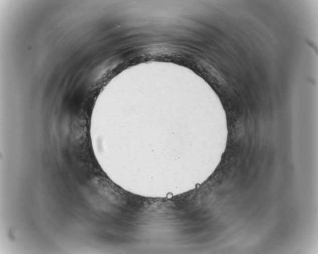 X0000096200824200801251011