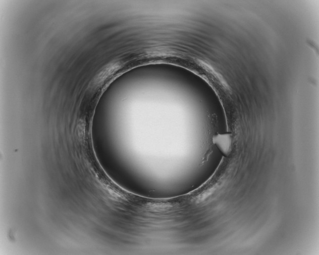 X0000096200825200801251011