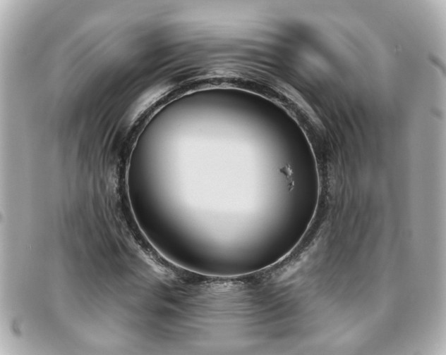 X0000096200826200801251011