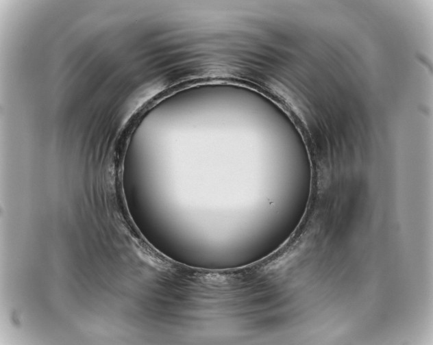 X0000096200827200801251011
