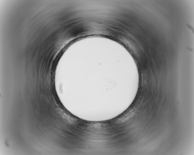 X0000096200828200801251011
