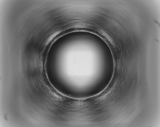 X0000096200829200801251011