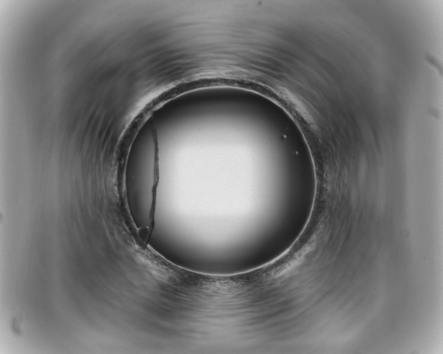 X0000096200830200801251011