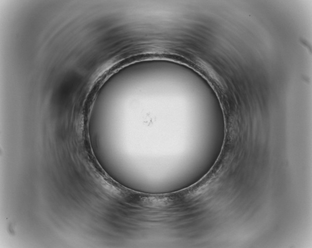 X0000096200831200801251011