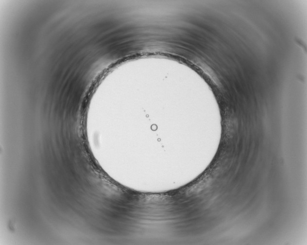 X0000096200832200801251011