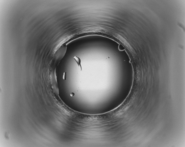 X0000096200834200801251011