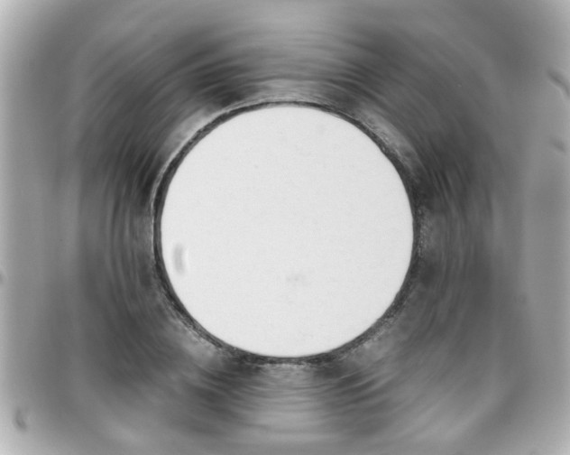 X0000096200836200801251011