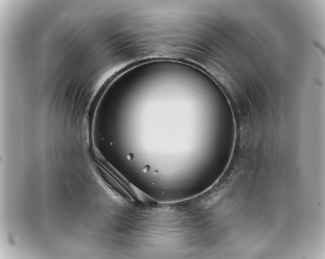 X0000096200838200801251011