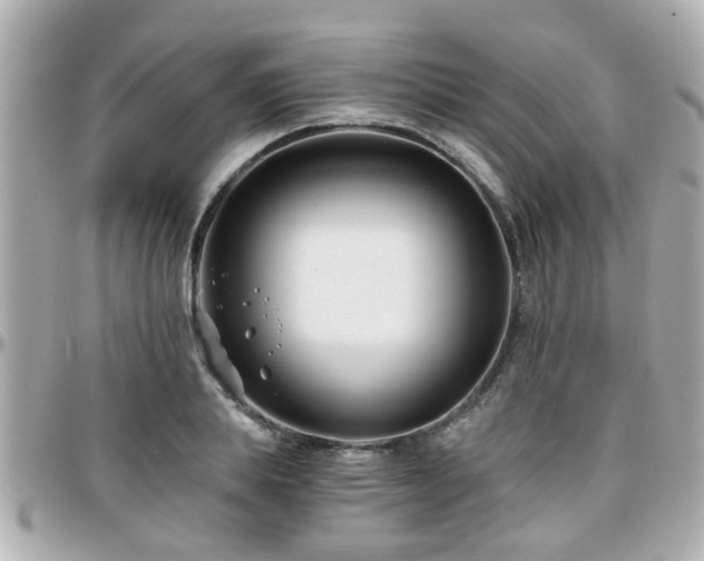 X0000096200839200801251011