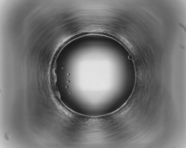 X0000096200840200801251011