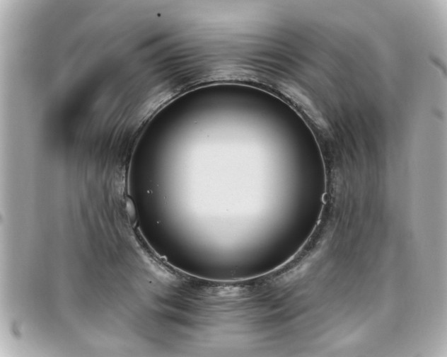 X0000096200841200801251011