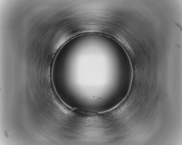 X0000096200842200801251011