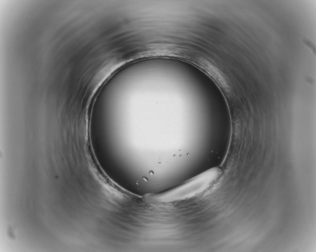 X0000096200844200801251011