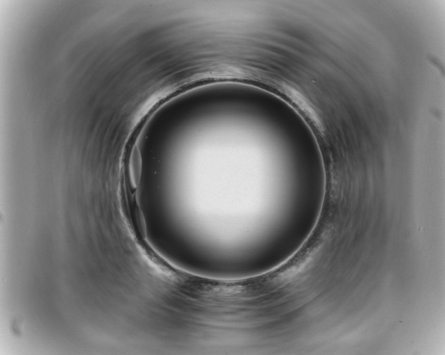 X0000096200845200801251011