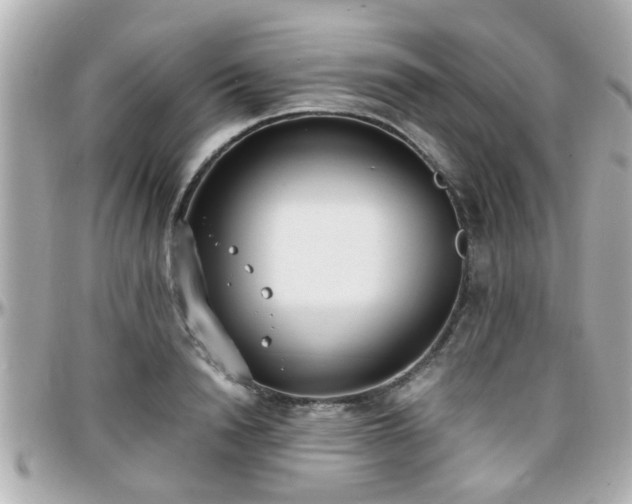 X0000096200846200801251011