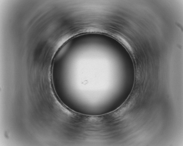 X0000096200847200801251011