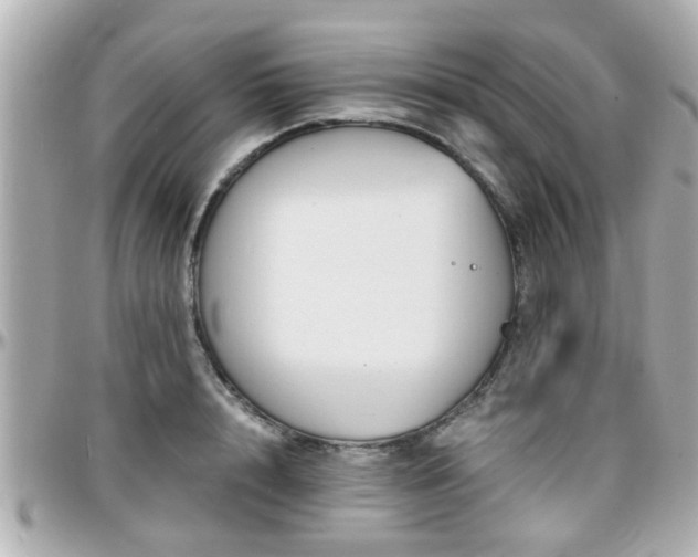 X0000096200848200801251011