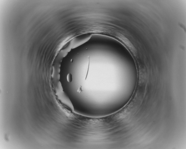 X0000096200850200801251011