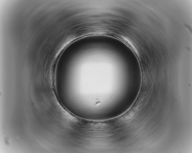 X0000096200851200801251011