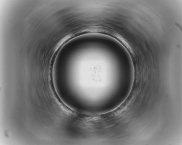 X0000096200853200801251011